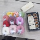 [코바늘] 벚꽃 티코스터&무궁화 수세미FO 🌸