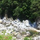 내린천솔밭민박 이미지