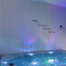 메르베르스파애견펜션 | 강아지 푸들 수돌이랑 세번째 여행지 경남 거제 1박2일(강아지 동반여행)메르베르 스파애견펜션