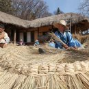 봄꽃에서첫눈까지 이미지