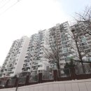 도곡2-101 네이버블로그