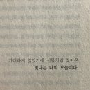 진보청과 이미지