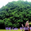 cafe숲 이미지