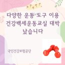건강백세교실 | 다양한 운동 도구이용 건강백세운동교실 대박났습니다