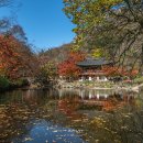 백양사 쌍계루 이미지