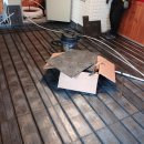 카페호야# 이미지