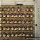 내리5일장 | 여름 캠핑은 계곡으로~ 영월 느티별 키즈 캠핑장