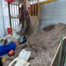 보라꽃화원 이미지