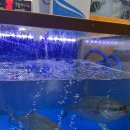 탐나종합어시장 구의역점 | 광진구에서 방어 먹을땐 무조건 여기! &lt;탐나종합어시장 구의역점&gt;