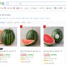 위너파트너스 이미지