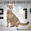 드림펫 이미지