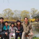 명호초등학교 이미지