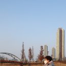 꽁냥이놀이터 이미지
