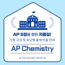 압구정코딩컨설팅
