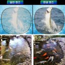 현대안경원 이미지