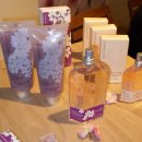 플럼블라썸(Plum Blossom) 이미지