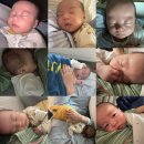 시도 | 50일 아기 통잠 가능할까? 신생아 통잠 언제부터 시작될까 (일주일 시도 후기)