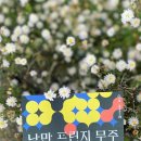 안성면행정복지센터 이미지