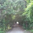 전원사슴농장 이미지