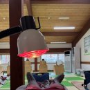 [리뷰] 진안여행/힐링여행 진안고원 치유숲