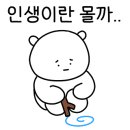 스테이 경화 네이버블로그