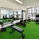 머슬멜로우 pt studio 이미지