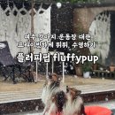 장화운동장 | 여주 강아지 운동장 플러피펍 |대관해서 맘껏 강아지 수영장 즐기고 온 날!