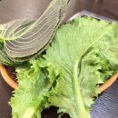 다함닭갈비 사가정직영점 이미지