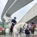 새(화산)2 | [대만워홀] #16 비탄풍경구 | 화산1914 | 푸항또우장