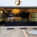 분당고양이분양 고사남 이미지