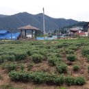 화동공원 이미지