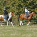 동진목장 이미지