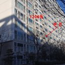 책향기로(1) 이미지