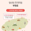 오후 3시만 되면 방전되는 나에게 — [라이프닝 액티브 에너지샷] 솔직 후기 (인폼드초이스 인증 비타민)