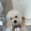 메이그루밍 이미지