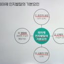 인간행동과사회환경 | [1]인간행동과 사회환경 / 3장 인지행동이론 / 1. 피아제(인지발달이론)