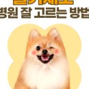 키다리아저씨 동물병원 이미지