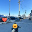 영금정 | 속초 가 볼만한 곳 단천식당 영금정 다녀온 후기