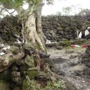 수산1리 이미지