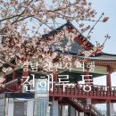 창원 인곡리 모과나무 | 경남 창원시 창원진례산성, 진해루 등 여행지