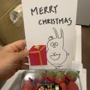 해들녁 | [가락토끼청과]12월프로모션“3토끼와 함께하는 행복한 크리스마스”