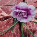 (주)춘천민물장어 이미지