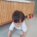 딸기노래클럽 이미지