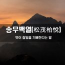 난초혜 이미지