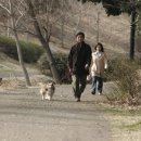 멍멍이가 있는 집 이미지