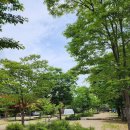 산촌캠핑장 | [🏕️서울 근교 애견동반 캠핑장 추천] 여주 산촌 오토캠핑장 후기