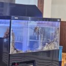 탐나투어 이미지