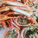 여시초대게물회 이미지