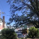 삼거리카센타 이미지