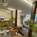 카페 압구정에서 이미지